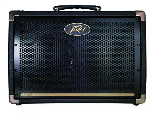 “PEAVEY ECOUSTIC E208 AMPLIFICATORI 2 CANALI PER CHITARRA ACUSTICA 2X8″” 20 WATT” Occasione Imperdibile