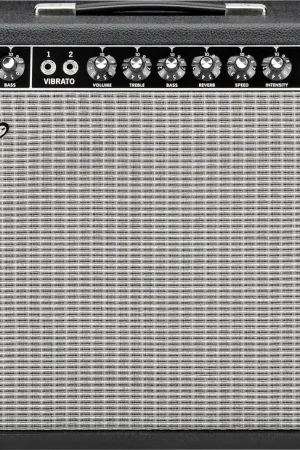 ‘65 Deluxe Reverb® Spedito Oggi