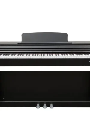 A Buon Prezzo ECHORD DPX-100B Satin Black Digital Piano 88 Tasti a Mobile Nero