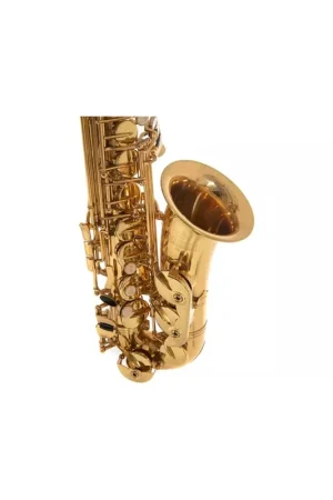 A Buon Prezzo Roy Benson AS-202 Sax Alto Mib
